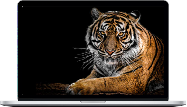 Subliminal Shop – Primal Masculinity 5.11G (Type A/B/C/D Hybrid)