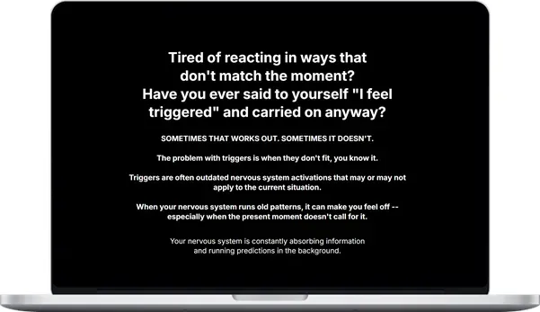 Trigger Reset System Short Course